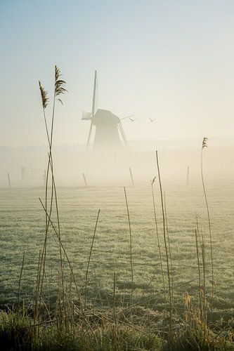 Moulin de Marsch dans le brouillard