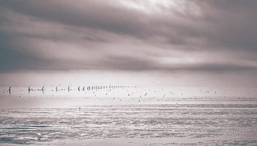 Eenzaam strand bij eb van Cuxhaven aan de Duitse Noordzeekust van Jakob Baranowski - Photography - Video - Photoshop