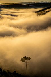 Vila Velha de Ródão — the golden sea by Opmeer Reports