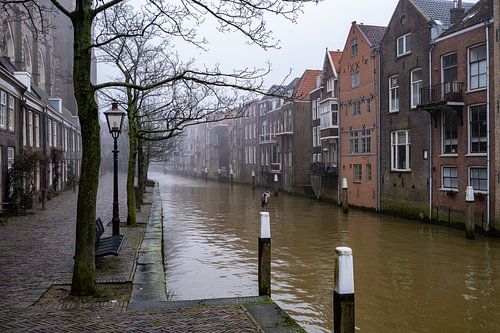 Dordrecht, Pottenkade by Bert Bouwmeester