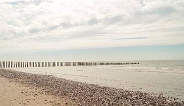 Op het strand van shauni embrechts