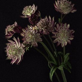Blumenstrauß aus violetten Zeeland-Knöpfen von Carine Belzon