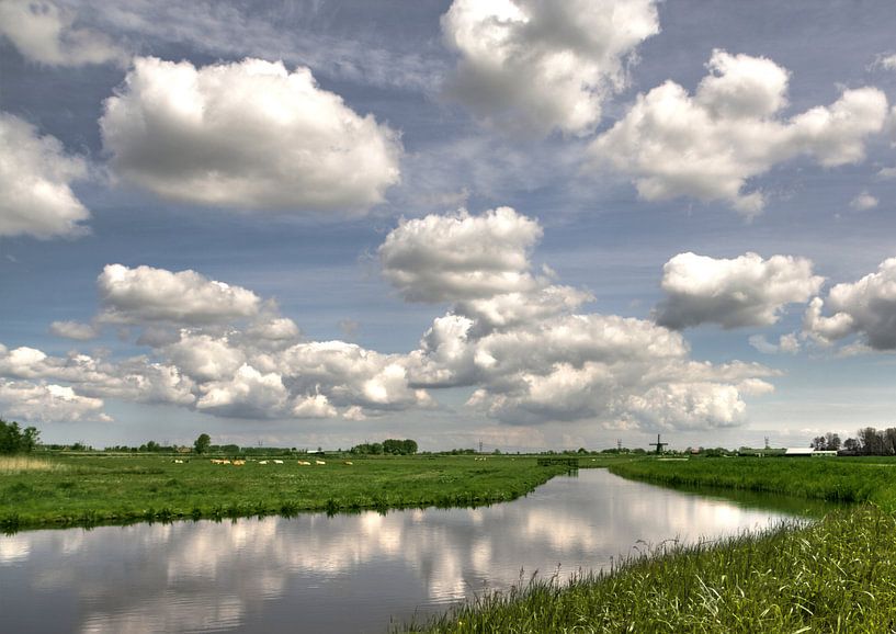 Hier zit een luchtje aan van Jack Tol