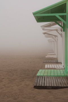 misty beach