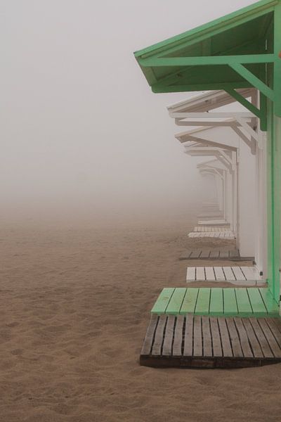 misty beach by Shadia Bellafkih
