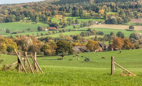 Zuid-Limburg in herfstkleuren