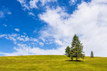 Landschap in de bergweiden tussen Mittenwald en Krün van Rico Ködder