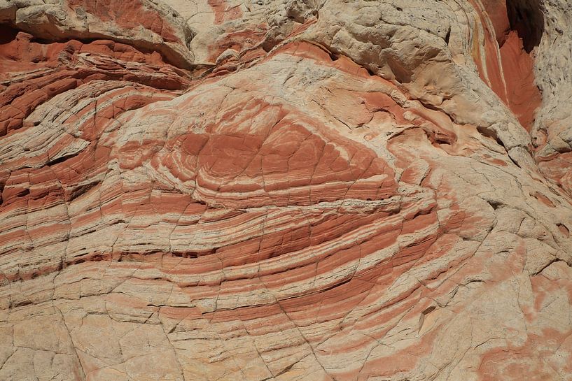 White Pocket, Vermilion Cliffs National Monument, Arizona van Frank Fichtmüller