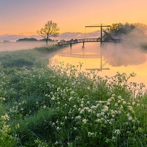 Sonnenaufgang am Schildjer Tilbat, De Paauwen, Groningen