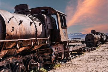 Locomotive et wagons sur Alex Neumayer