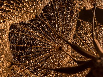 Golden droplets in "the web" of the fluffy ball by Marjolijn van den Berg