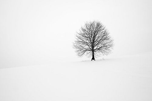 Le timing est primordial