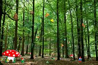 Gnomen-Wald