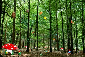 Kabouterbos
