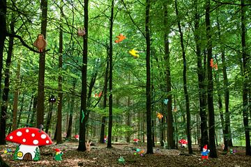 Kabouterbos van Kees-Jan Pieper