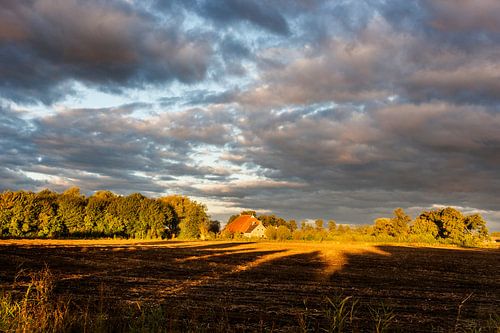 Soleil doré du soir sur Groningue