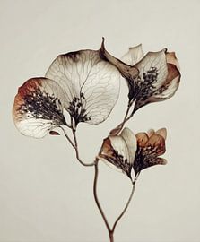 La mémoire des fleurs sur Cats & Dotz