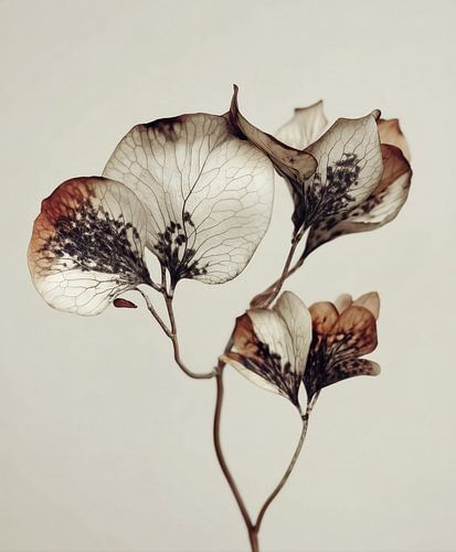 De herinnering aan bloemen
