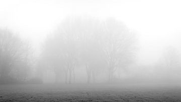 Brouillard épais sur Jan van der Knaap