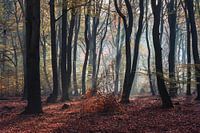 Herfst