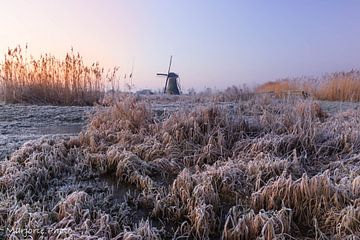 Een heerlijke koude start van de dag van Marjorie Ruts