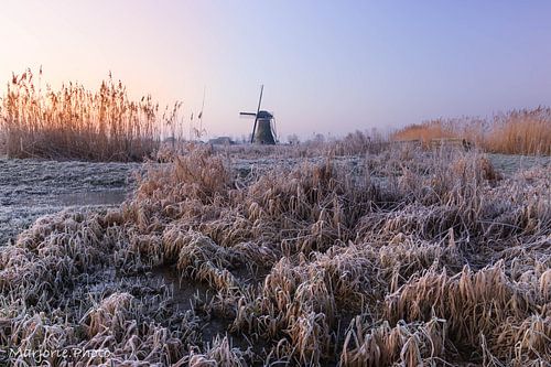 Un début de journée bien froid