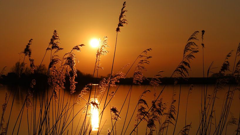 Gouden  zonsondergang van Annemarie Veldman