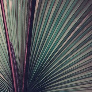 Nature Abstracted