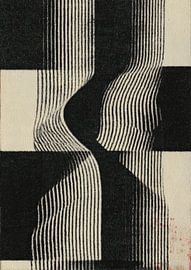 Abstraction géométrique : lignes déformées sur Niklas Maximilian