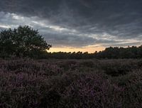 Beegderheide