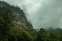 Colombian mountains in the fog