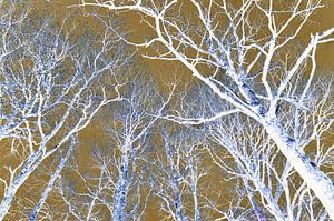 Arbres Fantaisie