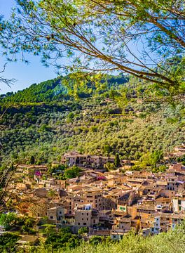 Zicht op fornalutx, oud beroemd dorp op het eiland Mallorca van Alex Winter