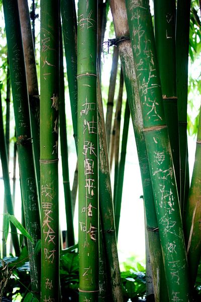 Chinese karakters in bamboe gekerfd von André van Bel