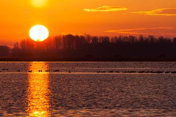 Gouden zon op het Lauwersmeer van Ron ter Burg