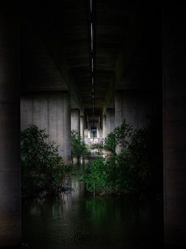 A1-Brücke bei Deventer