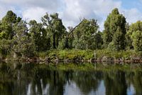 Visrivier