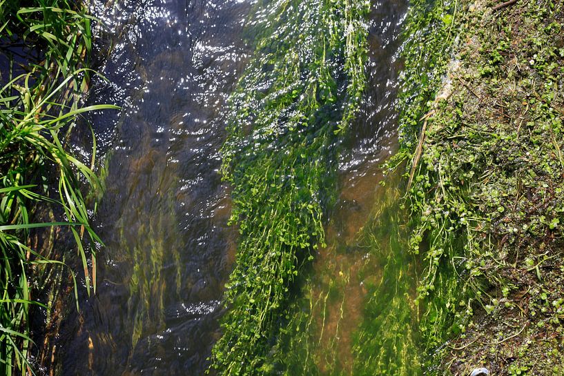 Element Wasser von Thomas Jäger