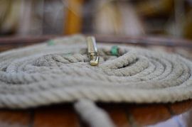 Seil um Kupferfrosch von Benny Van Bockel