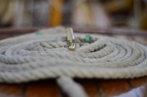 Corde autour de la grenouille en cuivre