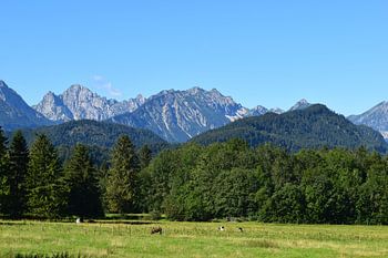 Allgäuer Bergpanorama