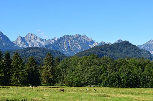 Allgäuer Bergpanorama