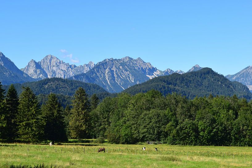 Allgäuer Bergpanorama by Karin Sigwarth