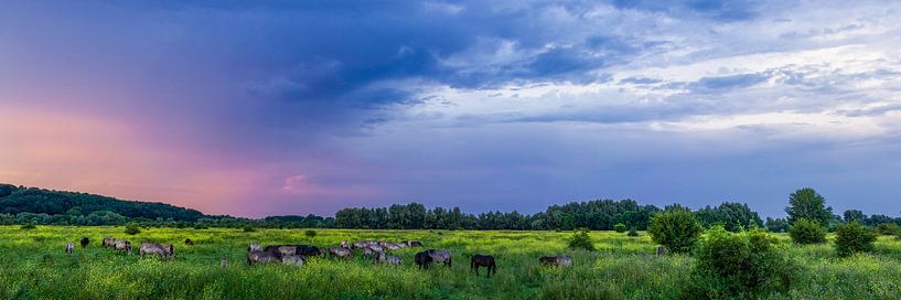 Na het onweer by Fokko Erhart
