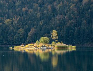 Eenzaam eiland in de Eibsee van Anselm Ziegler Photography