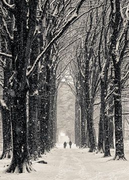 Winter in den Wäldern von Berg en Dal von Peter Vruggink