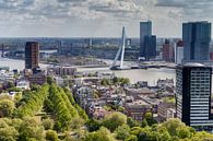 De Erasmusbrug Rotterdam van Menno Schaefer thumbnail