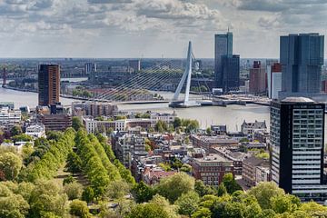De Erasmusbrug Rotterdam by Menno Schaefer