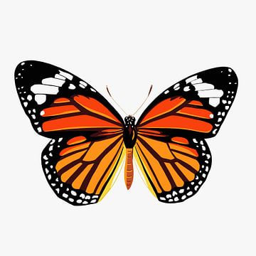 Vlinder - oranje van Jole Art