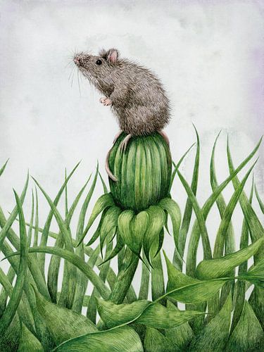 Mouse on dandelion